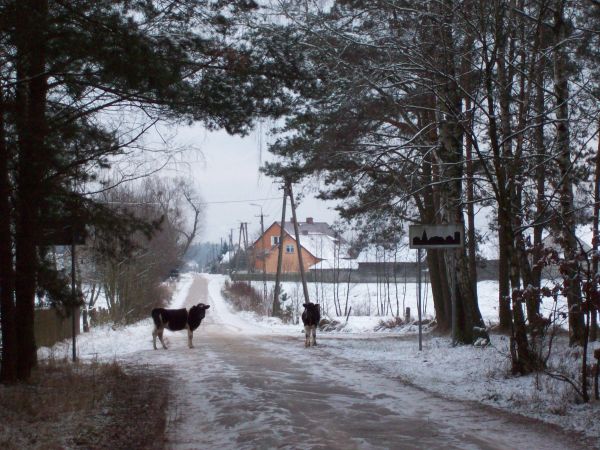 Północny wjazd do wsi