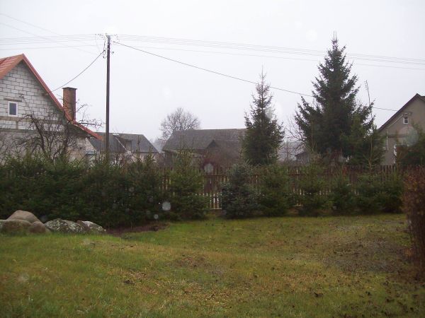 Północna część żywopłotu